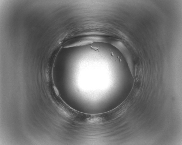 X0000066500452200603201327