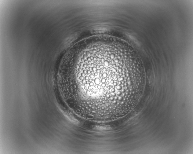 X0000066500455200603201327