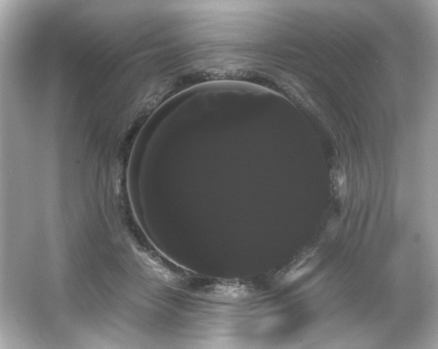 X0000066500458200603201327
