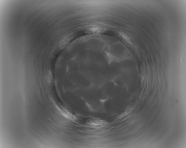 X0000066500459200603201327