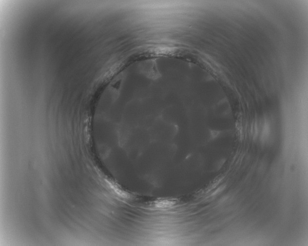 X0000066500462200603201327