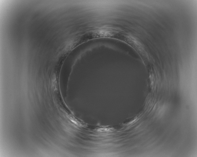X0000066500465200603201328