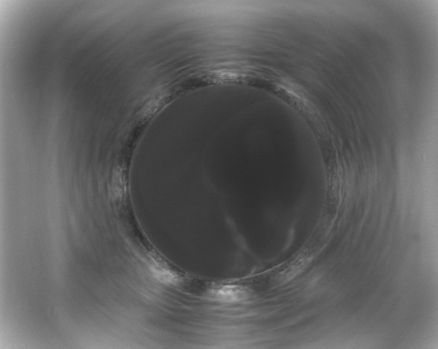 X0000066500467200603201328