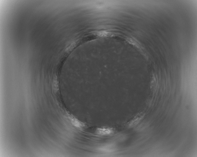 X0000066500469200603201328
