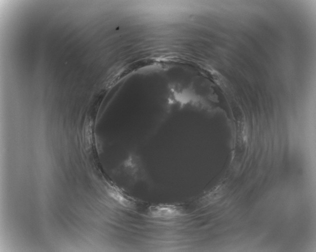 X0000066500475200603201328