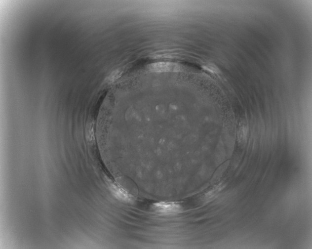 X0000066500477200603201328