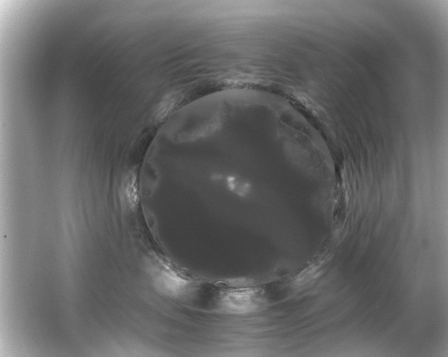 X0000066500479200603201328