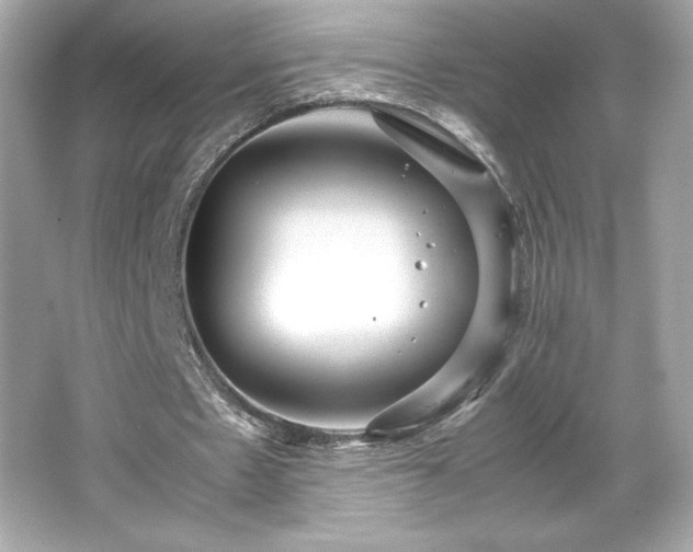 X0000066500481200603201327