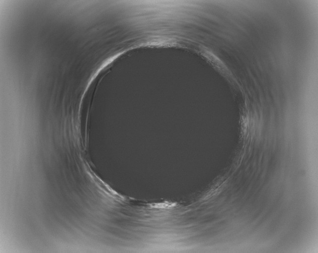 X0000066500484200603201327