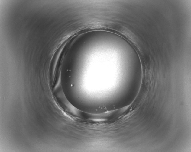 X0000066500485200603201327