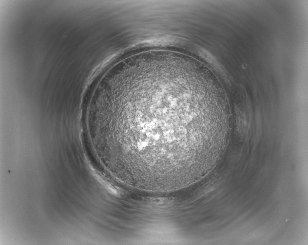 X0000066500486200603201327