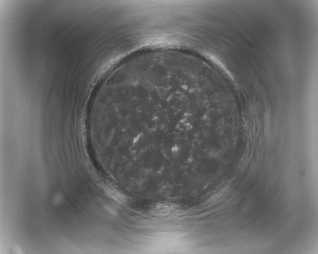 X0000066500487200603201327