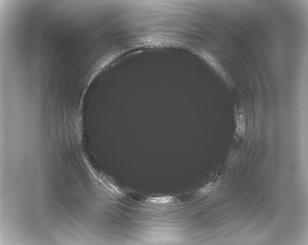X0000066500488200603201327