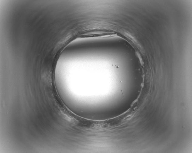 X0000066500489200603201327