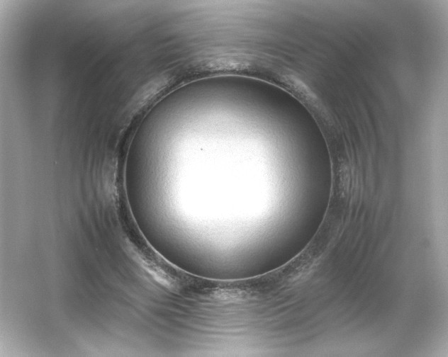 X0000066500490200603201327
