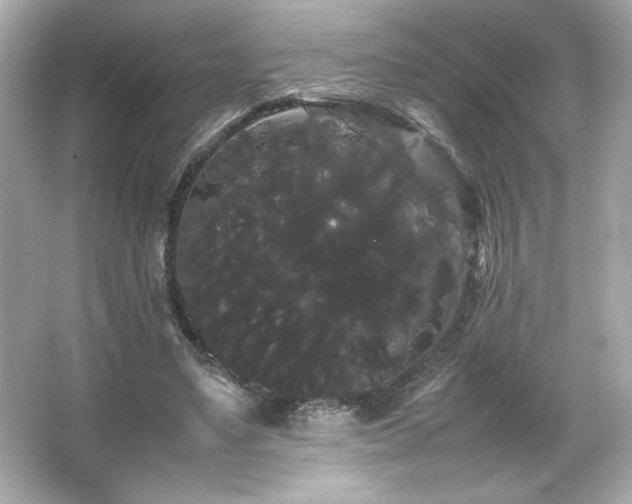 X0000066500491200603201327