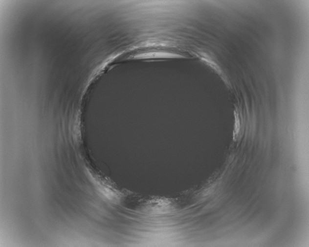 X0000066500492200603201327