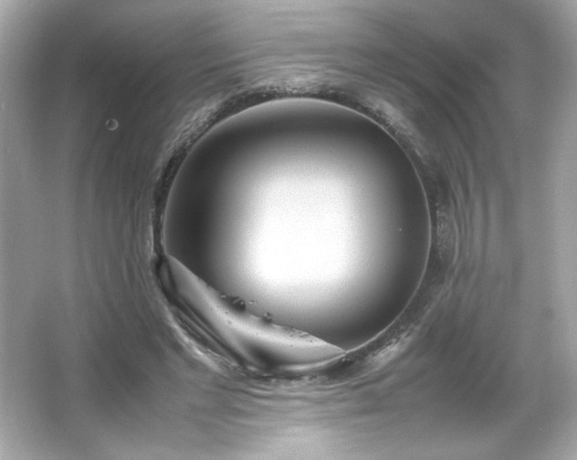 X0000066500493200603201327