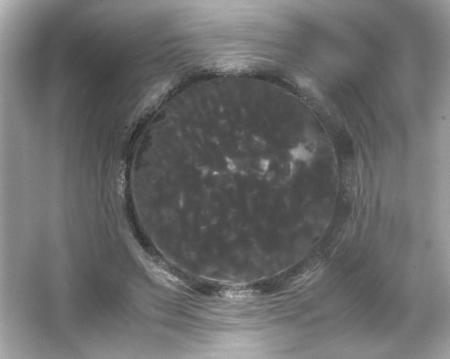 X0000066500495200603201327