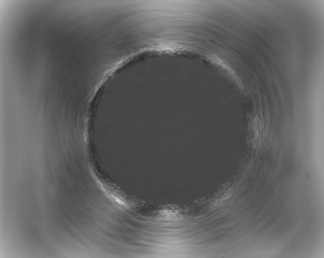 X0000066500496200603201327