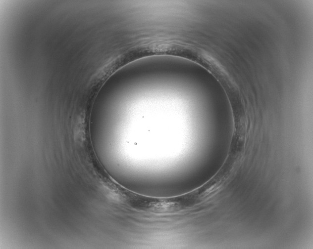 X0000066500497200603201327