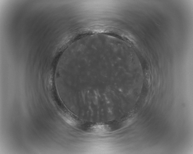 X0000066500499200603201327
