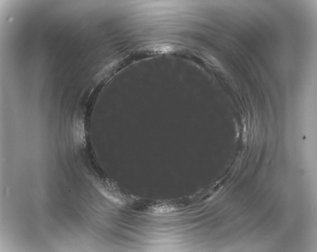 X0000066500500200603201327