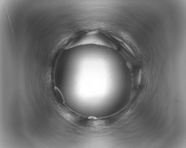 X0000066500501200603201327