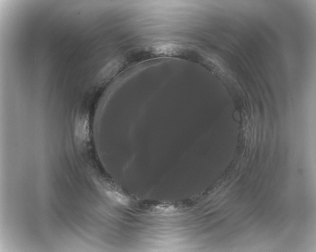 X0000066500502200603201327