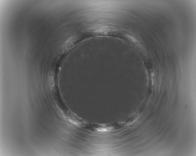X0000066500504200603201327