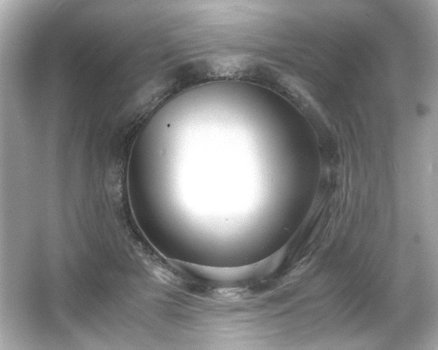 X0000066500505200603201327