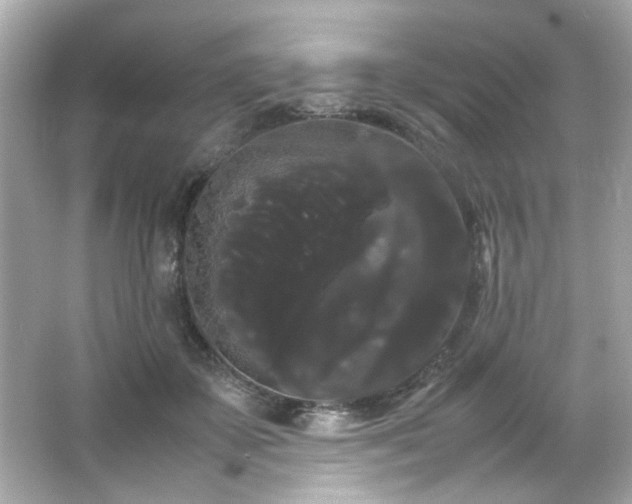 X0000066500507200603201327