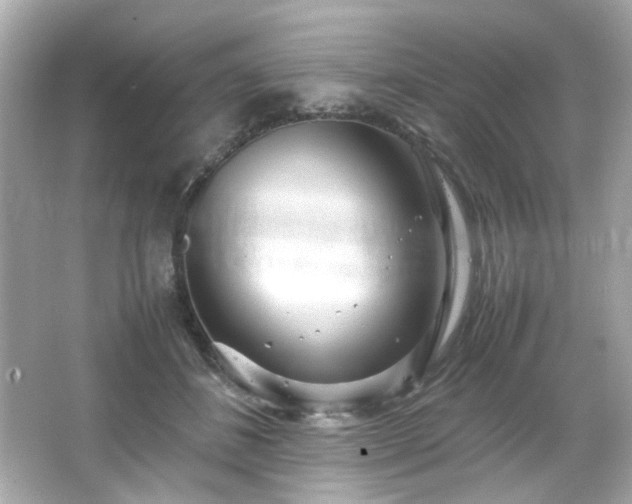 X0000066500508200603201327