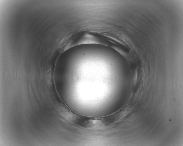 X0000066500509200603201327