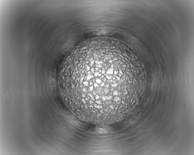 X0000066500510200603201327