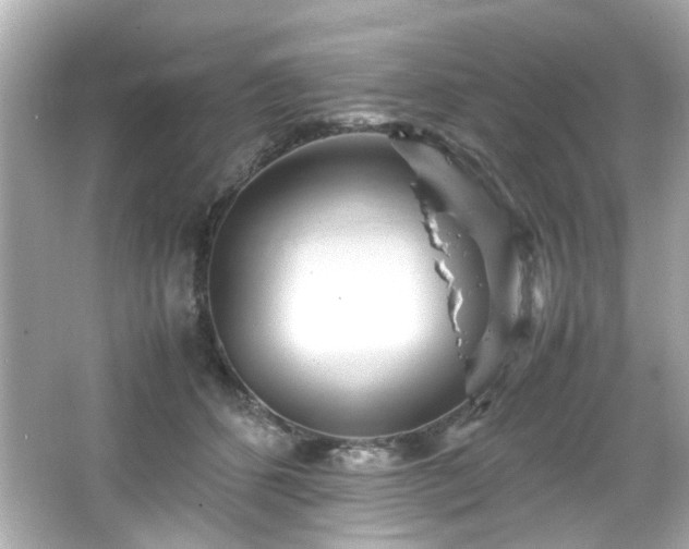 X0000066500512200603201326