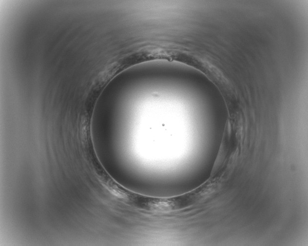 X0000066500513200603201326
