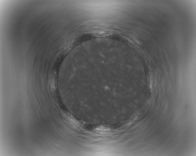X0000066500515200603201326