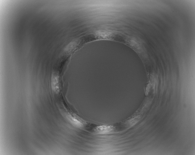 X0000066500526200603201326