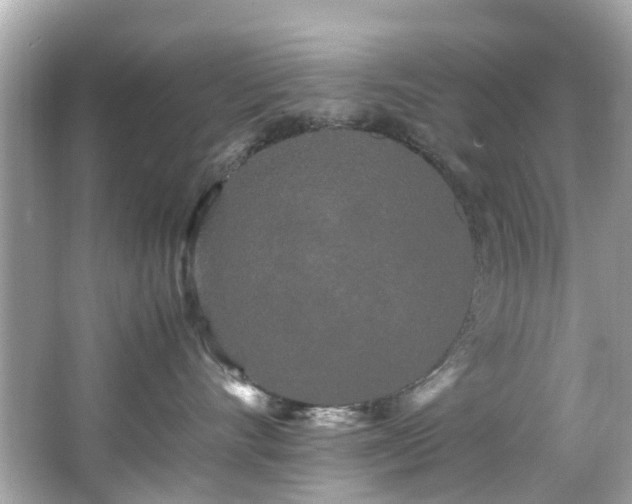 X0000066500528200603201326