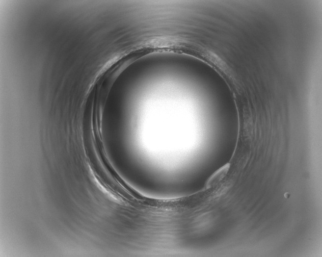 X0000066500530200603201325