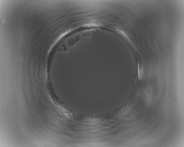 X0000066500531200603201325