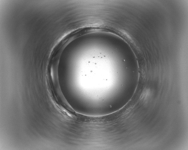 X0000066500532200603201325