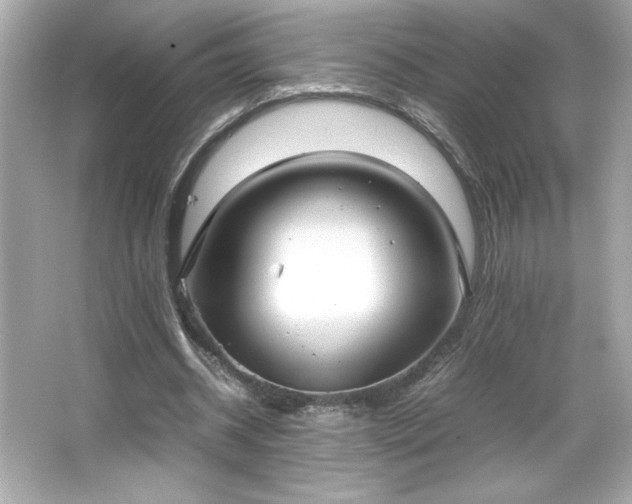 X0000066500534200603201325