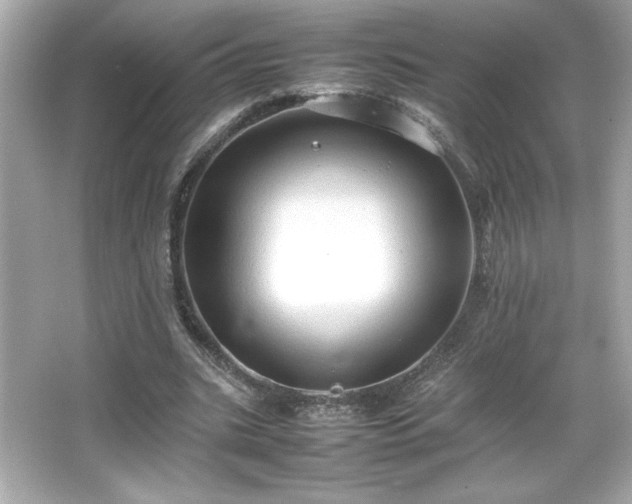 X0000066500535200603201325