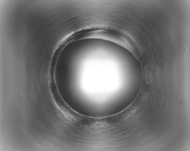 X0000066500536200603201325
