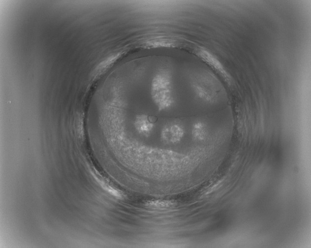 X0000066500537200603201326