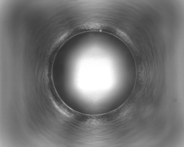 X0000066500538200603201326