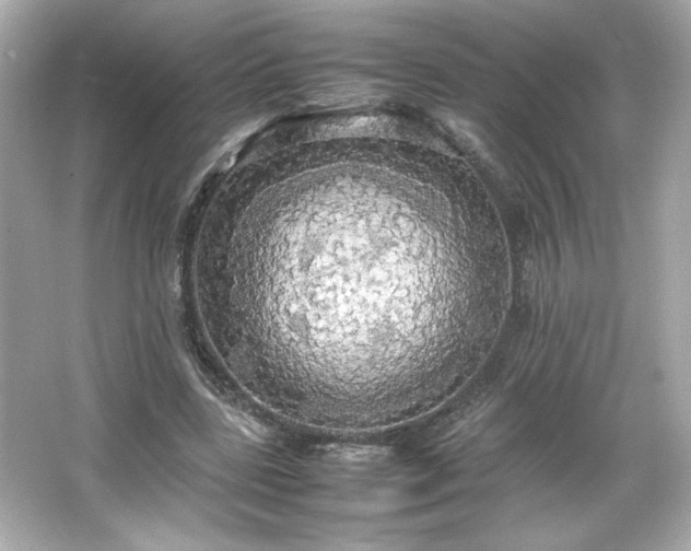 X0000066500539200603201326