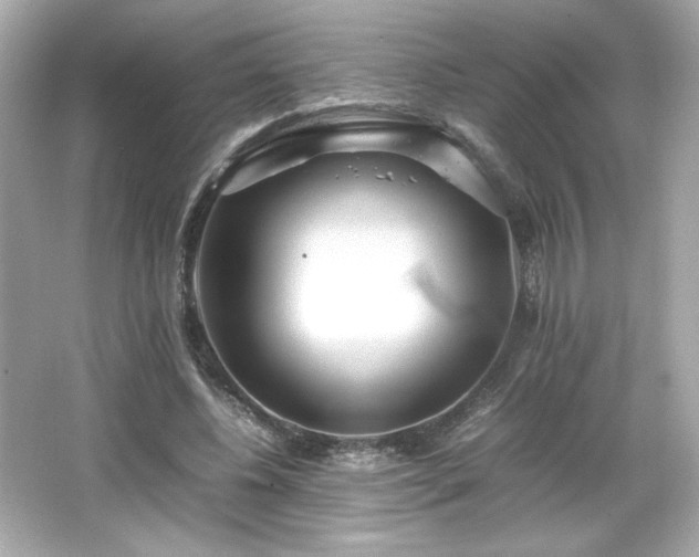X0000066500540200603201326